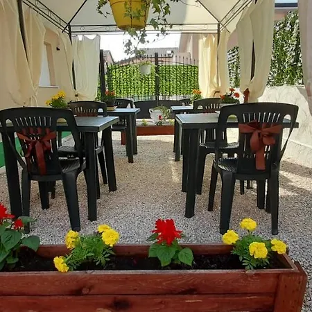 Lilium Couette-café