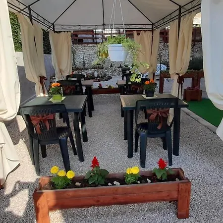 Lilium Couette-café LʼAquila